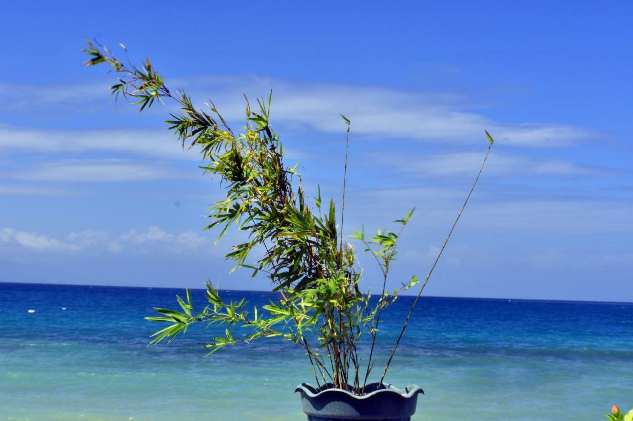 Mlk Bamboo Beachhouse Alegria  Екстериор снимка